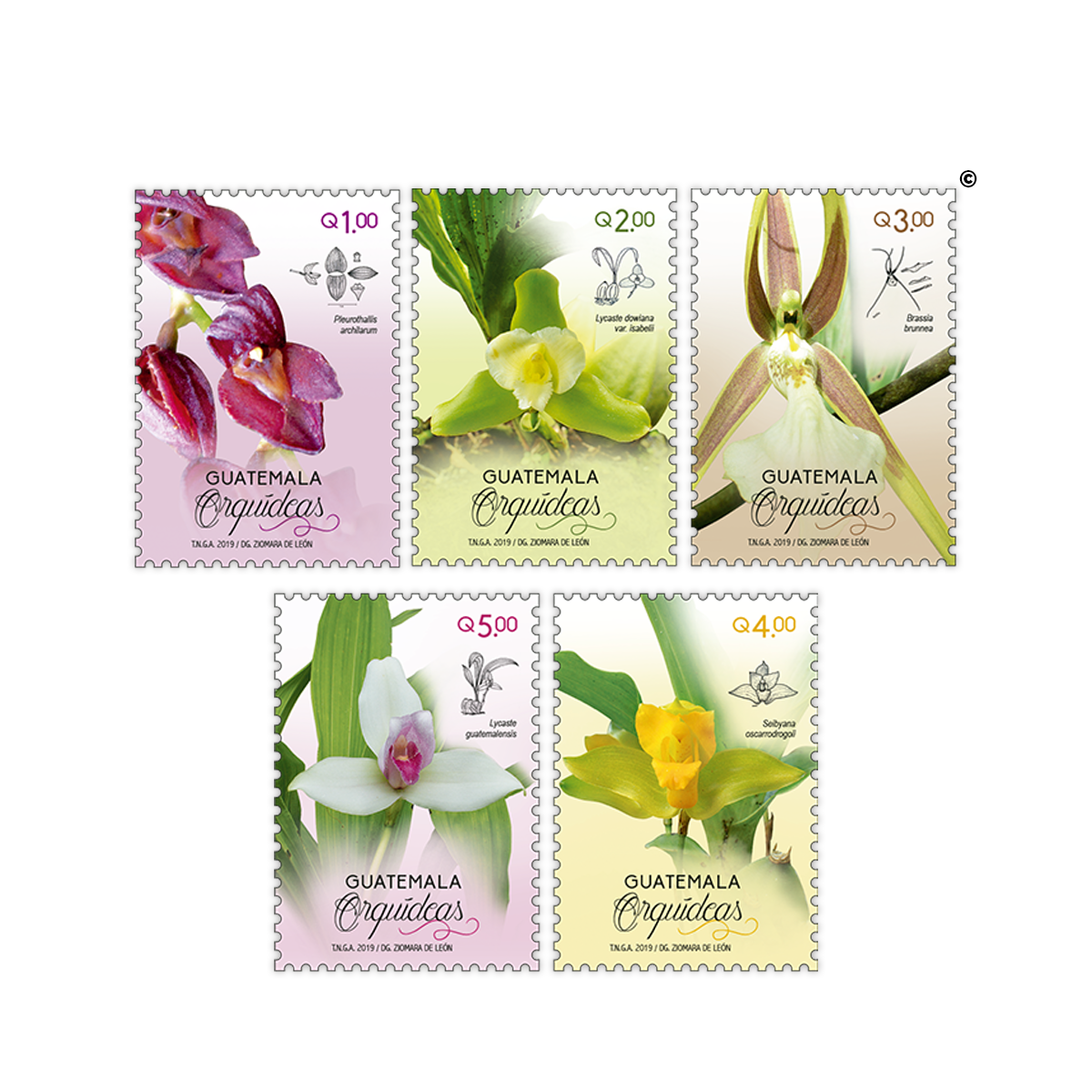 Sellos Postales - Orquídeas de Guatemala