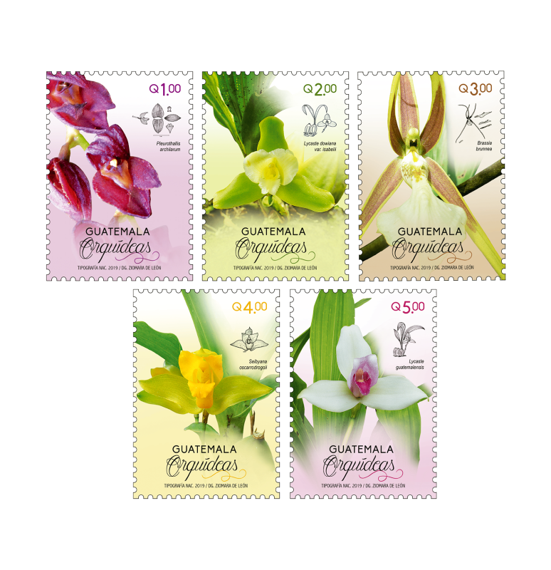 Orquídeas de Guatemala - Serie